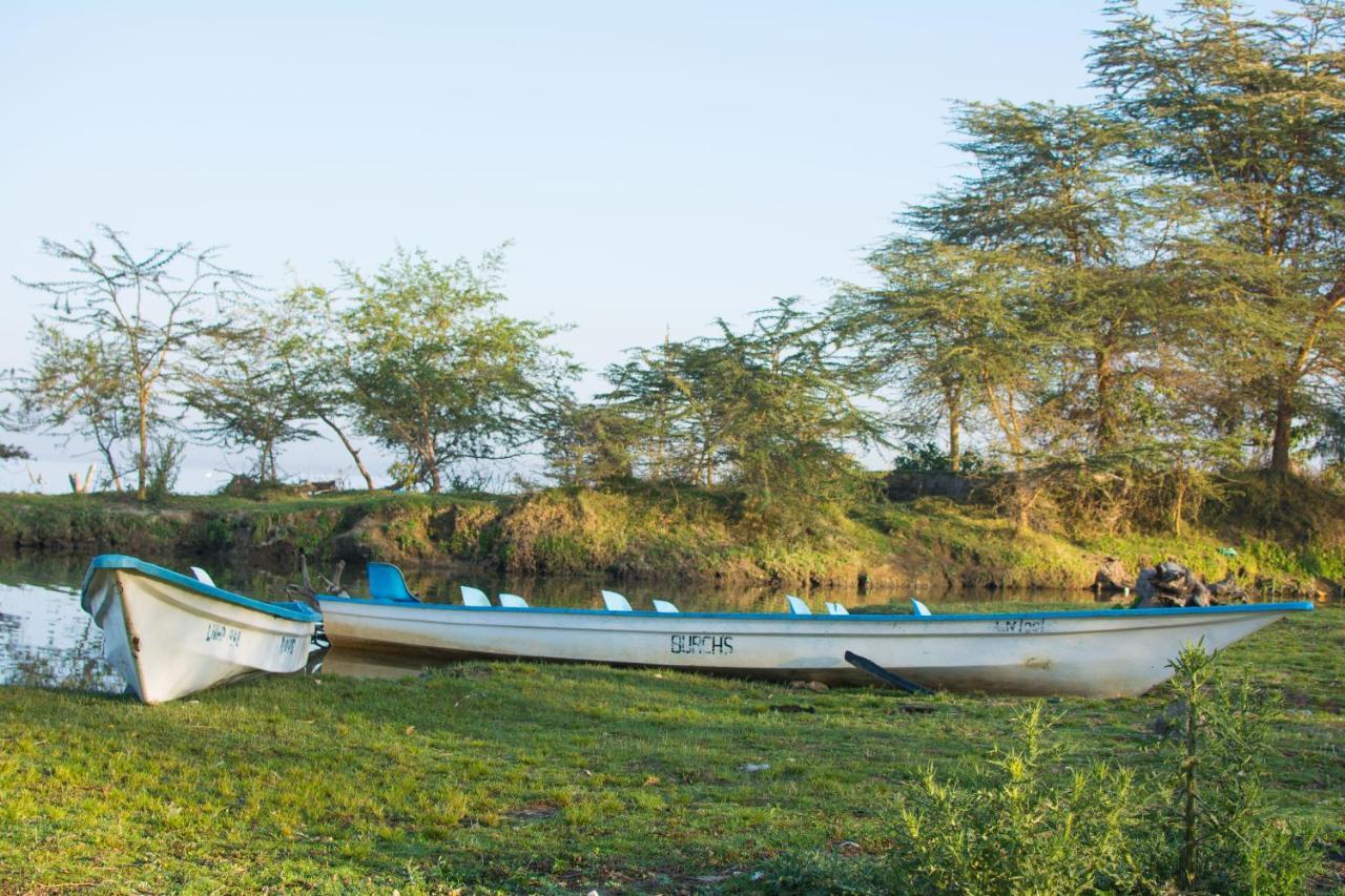 Burch'S Resort Naivasha Camping Ngoại thất bức ảnh