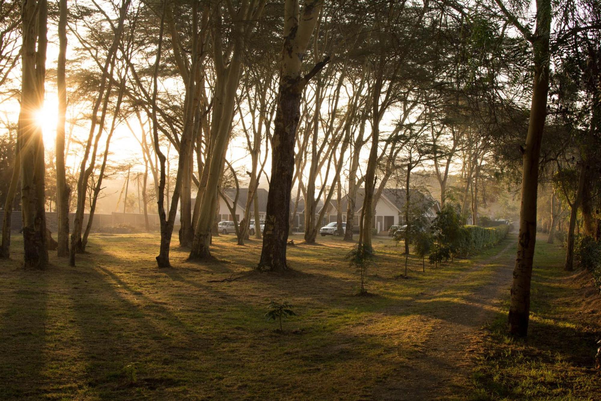 Burch'S Resort Naivasha Camping Ngoại thất bức ảnh